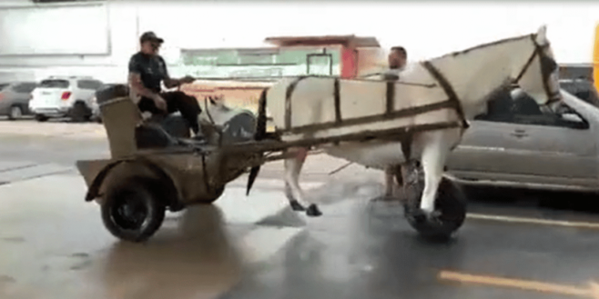 Cette automobile avec une forme hors du commun et tirée par un cheval est-elle la voiture du futur ?