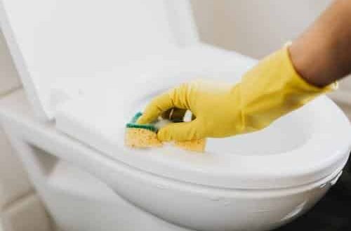 Pourquoi la lunette des toilettes publiques n'est pas si sale que cela ?