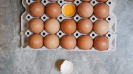 La vérité sur les œufs