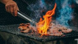 Barbecue : gaz, électrique ou charbon, quel est le meilleur choix ?