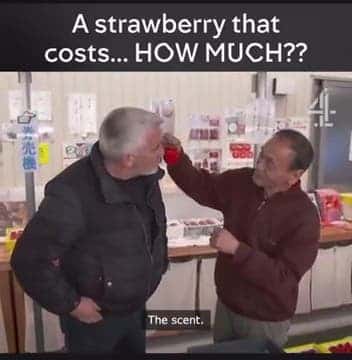 Un cultivateur japonais vend ses fraises 400 euros l’unité