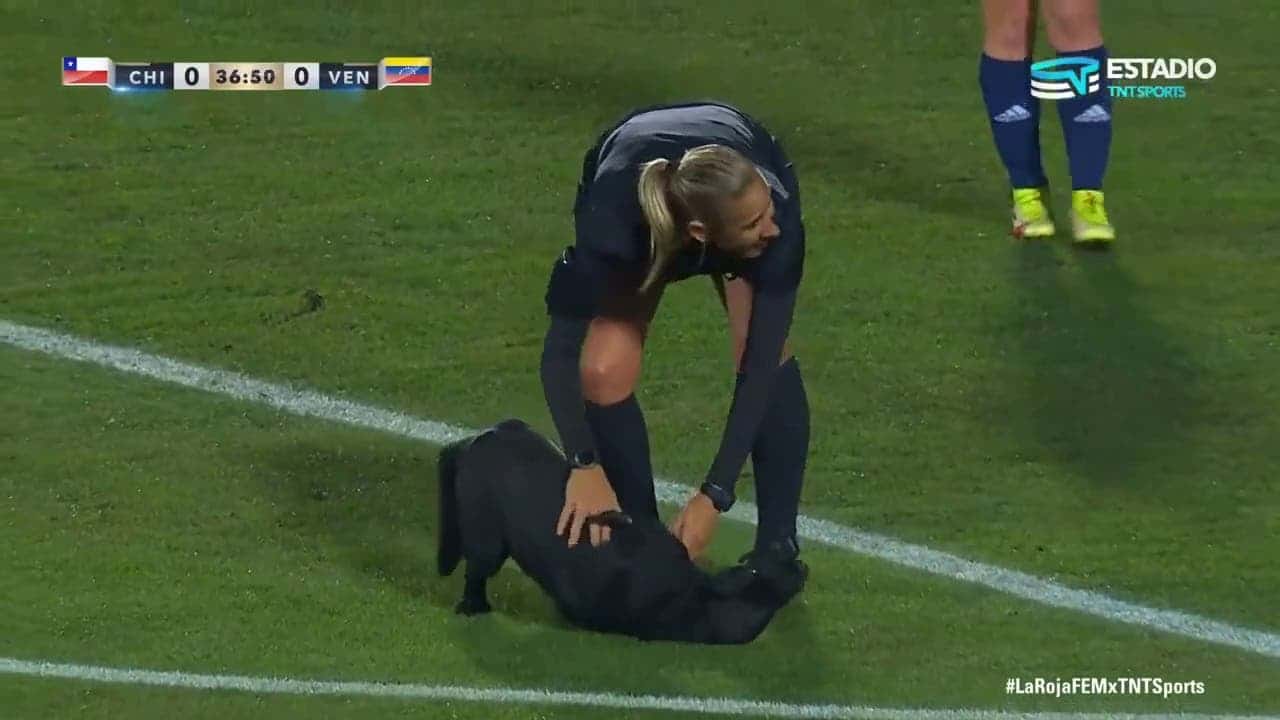 Un chien entre sur le terrain d’un match de foot féminin pour demander des caresses sur le ventre