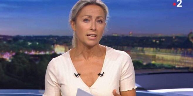 Anne-Sophie Lapix harcelée et insultée sur les réseaux sociaux, c'est pire que tout !