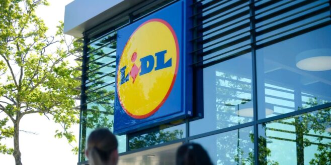 Cohue chez Lidl pour sa collection de vêtements dédiée à Harry Potter à petit prix !