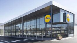 Lidl cartonne avec son appareil pour faire des gaufres comme un pro !