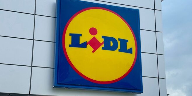 Lidl cartonne avec son super mixeur multifonctions à moins de 10€ !