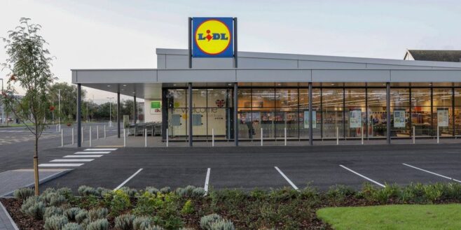 Lidl casse le prix de l'incroyable friteuse sans huile Philips !