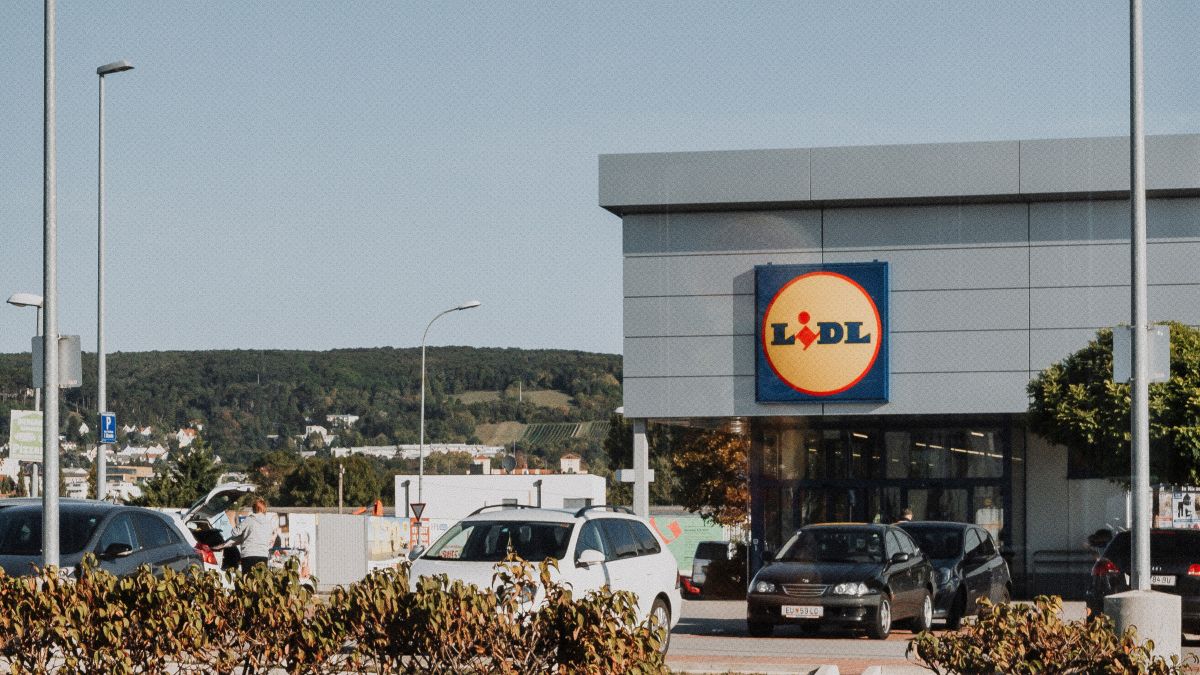 Lidl frappe très fort avec son cardigan 