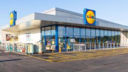 Lidl lance un nouveau gilet sans manches tendance à moins de 20 € !