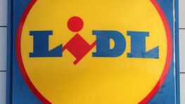 Lidl s'inspire de Decathlon et Converse pour proposer des chaussures à 10€ !