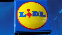 Cohue chez Lidl pour ce super miroir avec rangement qui s'adaptera à toutes les salles de bain !