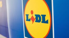 Cohue chez Lidl pour les chaussons les plus comfy de l'hiver à moins 6 euros