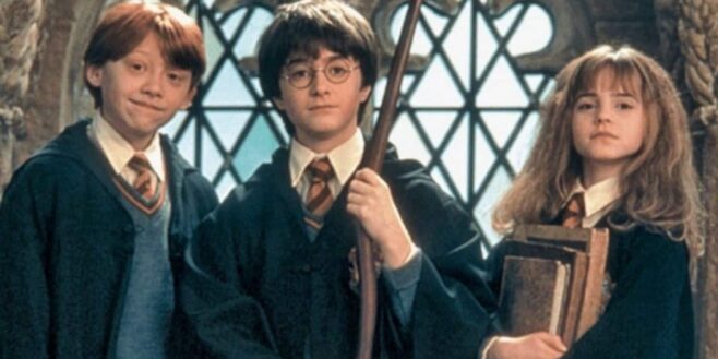 Harry Potter et la chambre des secrets seul un vrai fan aura remarqué ces 11 détails cachés dans le film !