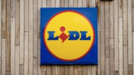 Lidl cartonne avec le meilleur t-shirt anti froid pour rester au chaud cet hiver à moins de 15 euros