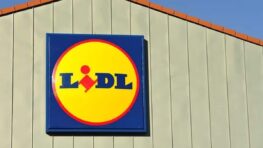Lidl cartonne avec les stores thermiques les moins chers du marché !