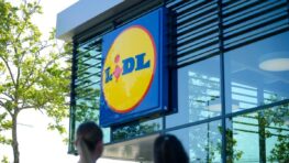 Lidl cartonne avec son étendoir à linge design et pratique à moins de 28 euros