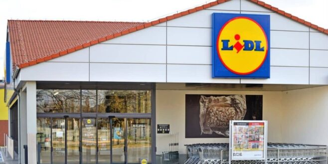 Lidl ce jouet adoré des enfants explose tous les records à quelques jours de Noël !