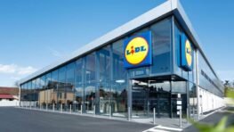 Lidl fait trembler Ikea avec cette armoire miroir à moins de 40 euros !