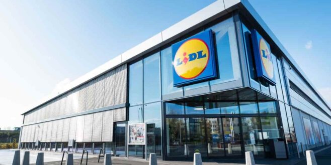 Lidl fait un carton avec son super aspirateur Parkside qui nettoie tous les sols en textiles !