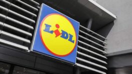 Lidl le cadeau de Noël parfait pour tous les artistes à moins de 30 euros !
