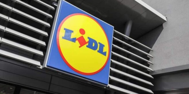 Lidl le cadeau de Noël parfait pour tous les artistes à moins de 30 euros !