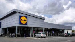 Lidl s'inspire de Ikea et Maisons du du monde pour ses chaises de salle à manger à petit prix !