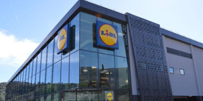 Lidl voici les 5 meilleurs cadeaux de Noël pour les enfants à moins de 15€ !