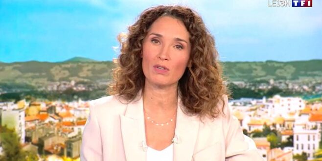 Marie-Sophie Lacarrau quitte le JT de TF1 et son remplaçant fait déjà l'unanimité article