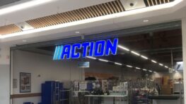 Cohue chez Action pour ce produit magique qui dégivre votre pare-brise pour moins de 2 euros