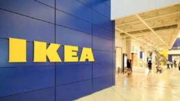 Cohue chez Ikea pour ces indispensables pour faire de chez vous un vrai havre de paix !