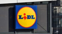 Cohue chez Lidl avec ces soldes hallucinantes sur les indispensables pour la maison !