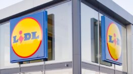 Cohue chez Lidl pour cet indispensable pour bien nettoyer son visage à moins de 20 euros