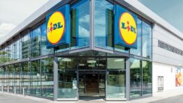 Cohue chez Lidl pour cet indispensable pour faire les meilleures frites du monde !