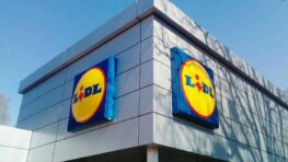 Cohue chez Lidl pour son lanceur de balles parfait pour s'amuser avec son chien