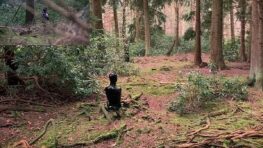 Challenge vidéo : pouvez vous retrouver le sniper caché dans les bois avant que le temps ne soit écoulé ?