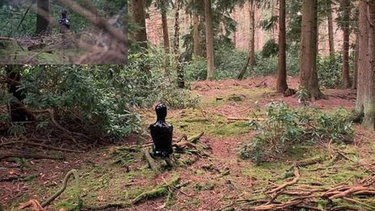 Challenge vidéo : pouvez vous retrouver le sniper caché dans les bois avant que le temps ne soit écoulé ?
