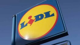 Gros carton pour Lidl avec cet accessoire indispensable pour protéger votre chien de la pluie !