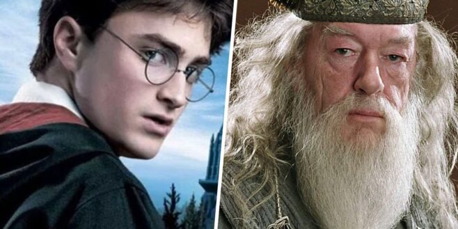 Harry Potter aurait pu devenir un terrible méchant et Dumbledore le savait !