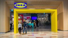 Ikea fait un carton avec ce tapis doux et chaud qui isole du froid glacial de l'hiver !