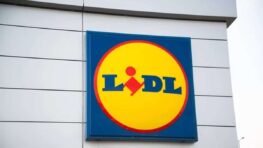 Lidl a la solution parfaite pour sécher son chien rapidement après la pluie !