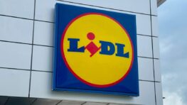 Lidl a la solution pour éviter toutes les pannes de batterie à moins de 25 euros