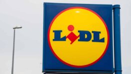 Lidl cartonne avec ce bureau d'angle parfait pour gagner de la place à moins de 80 euros