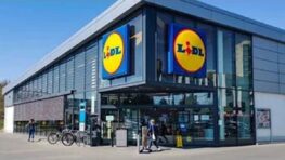 Lidl cartonne avec ce mini lave vaisselle parfait pour les studios et petits appartements !