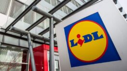 Lidl cartonne avec ces étagères à roulettes ultra pratique pour tout ranger dans sa salle de bain !