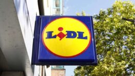 Lidl cartonne avec cet accessoire indispensable pour votre voiture et très utile en cas d'urgence !
