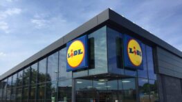 Lidl cartonne avec cet outil 3 en 1 indispensable à tous les bricoleurs !