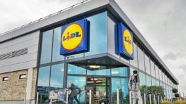 Lidl cartonne avec cet outil indispensable pour tous les bricoleurs à moins de 25 euros !