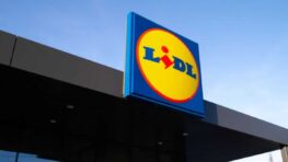 Lidl combat le froid avec cet incroyable chauffage amovible à moins de 35 euros !