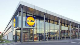 Lidl copie Converse et sort son propre modèle de chaussures dans plusieurs couleurs à prix cassé !