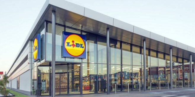 Lidl copie Converse et sort son propre modèle de chaussures dans plusieurs couleurs à prix cassé !